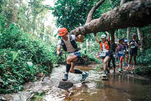 BIB: 
                            <button type="button" onclick="openModal(25369790)" class="btn btn-primary btn-sm float-right btn-popup" data-toggle="modal" data-target=".modal-high-quality">
                        <i class="fas fa-shopping-cart"></i> Add to Cart
                    </button>
                                            <button type="button" onclick="isThisMe(25369790, true)" class="btn btn-success btn-sm float-right btn-popup btn-isme hidden" data-toggle="tooltip" data-placement="bottom" title="นี่คือรูปของคุณใช่ไหม คลิกที่นี่เพื่อเอาเข้าอัลบั้ม">
                        <i class="fas fa-plus"></i> Add to album
                    </button>
                    <button type="button" onclick="isThisMe(25369790, false)" class="btn btn-warning btn-sm float-right btn-popup btn-isnotme hidden">
                        <i class="fas fa-ban"></i> Remove from album
                    </button>